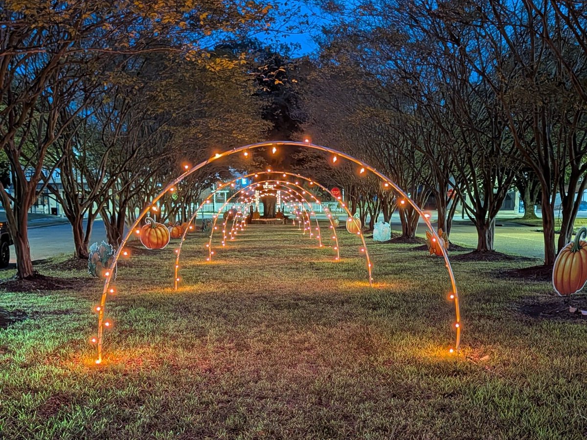 COPinevillela's tweet photo. 🍂📸 Fall photo alert, Pineville! 🍂

Downtown is all dressed up for fall! Come take your pictures in our fall picture frame and stroll through the tunnel of lights on Hospital Boulevard. 🎃✨

Bring the family, strike a pose, and tag us in your photos — we want to see them! Free and glowing every evening.

#PinevilleLA #FallInPineville #DowntownPineville #PinevilleProud