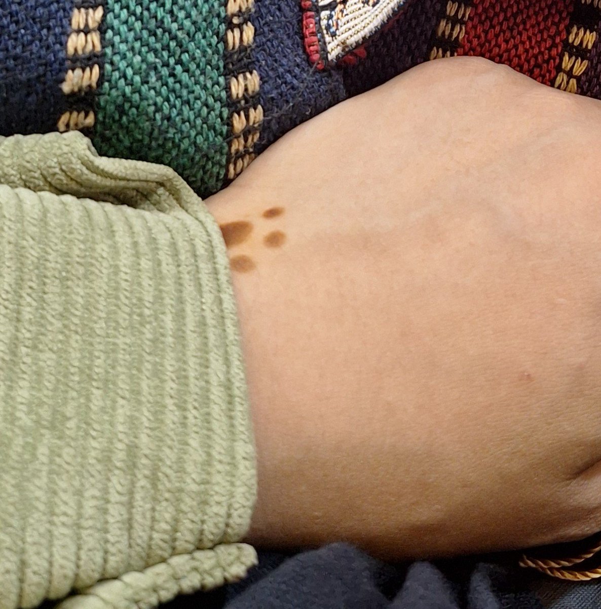mangoganto's tweet photo. my cute little henna https://t.co/wExXdXIjlM