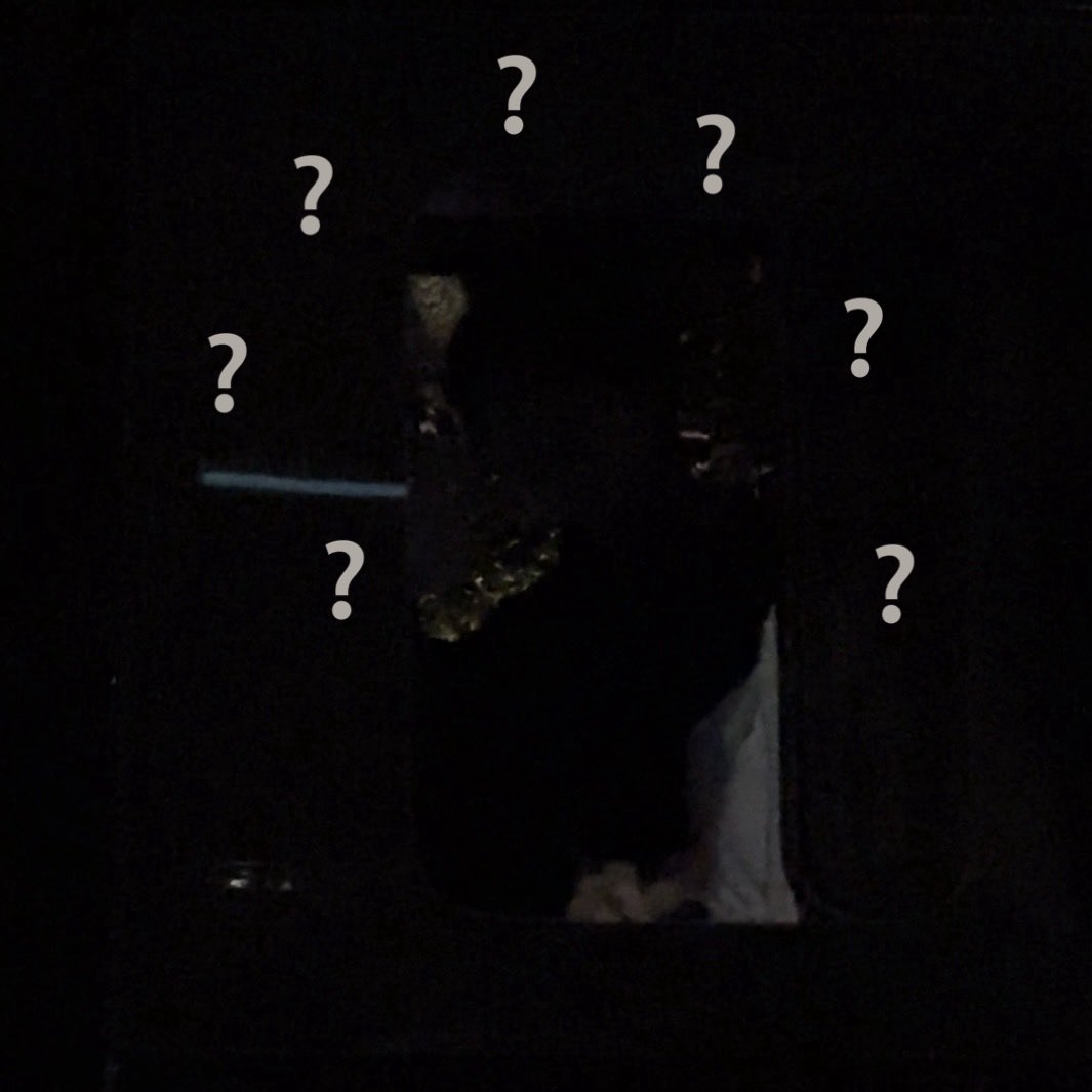 escapefromjj tweet picture