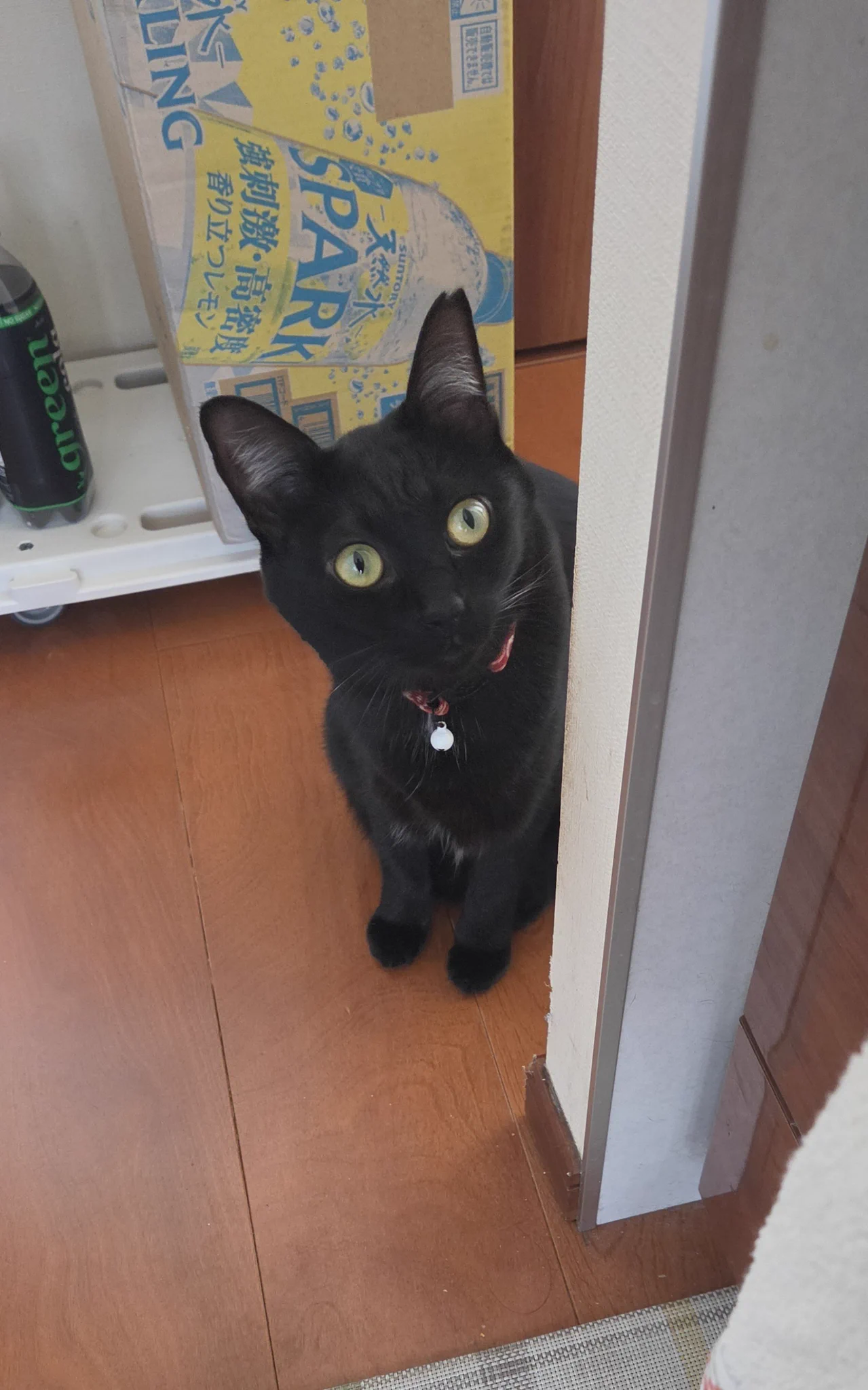みみ様おまとめ⭐️月明かりの猫と仲間たち ち～ on X: 