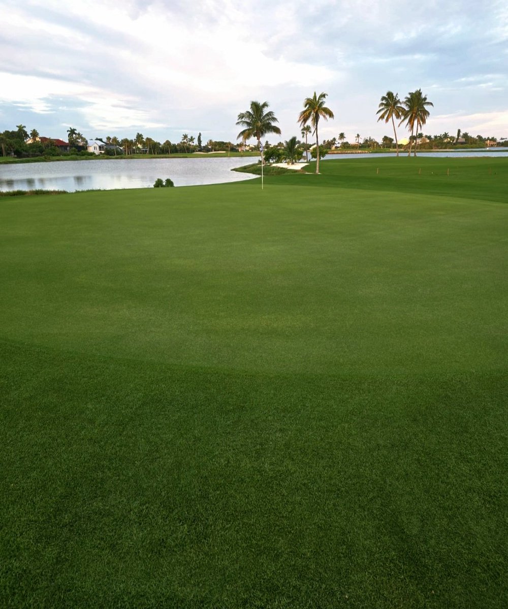 turfmonkeyboy's tweet photo. #DATAMATTAS .....I am fortunate to have many days that I learn from being #wrongagainreilly. Today I had a rare "aha moment". Hear me out and feel free to tell me I am .....wrong.....again.....reilly.
Had one side of greens program run and back nine didn't run. Been working with a product called @SolidDew. It has done a great job distributing moisture (pic 2 and 3) but today i realized it does an even better job drying greens down uniformly (pic 3 and 4), which when I think on it could be way more useful in the Plant Health=Plant Performance matrix. Think of when a green flashed on you; rarely is it the entire green. It happens in spots. With today's sensor technology we could push playability safely and root mass conceivably at the same time.
Any thoughts?