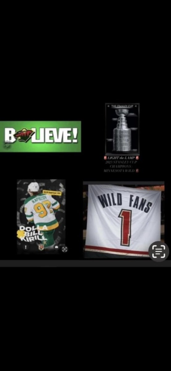 ToddLangeslag's tweet photo. @MN_Wild_Fans https://t.co/149IdzZeM7