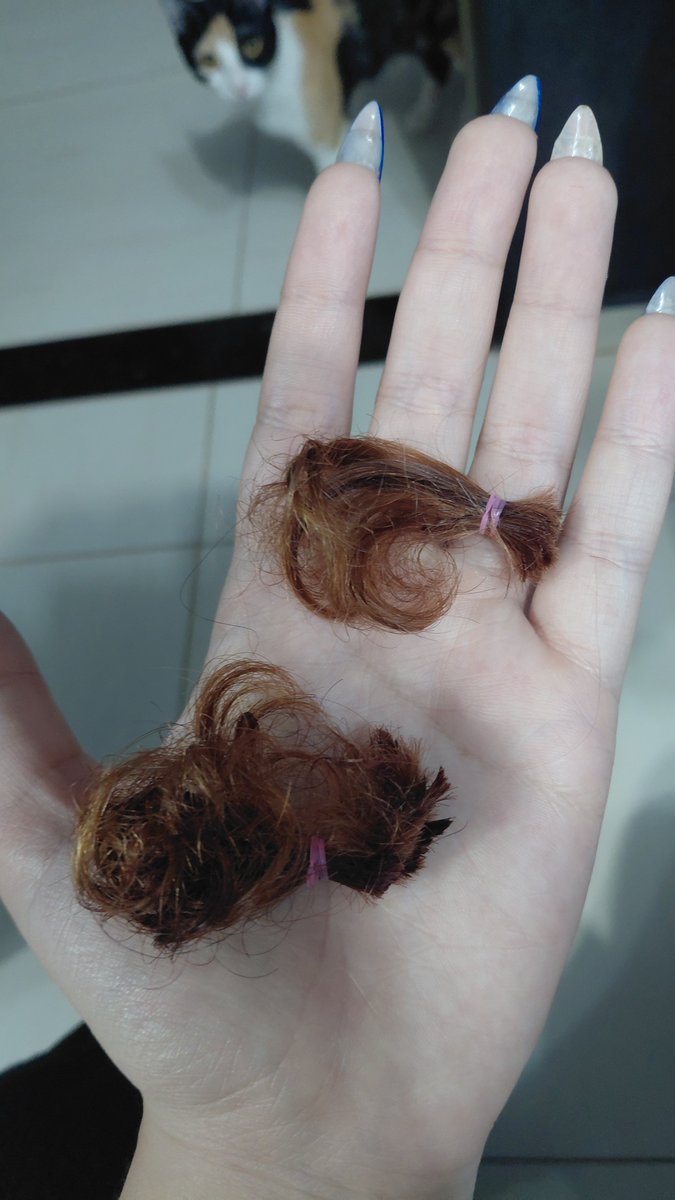 SofttrytobeStar's tweet photo. Cabelo tava esquisito
✂️- - - - - - - - - -
 nao ta mais https://t.co/DbtOPi75Hk