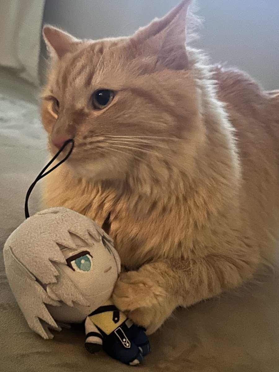 kitty_riku1's tweet photo. when u have a friend https://t.co/3sPOw1BC0Q