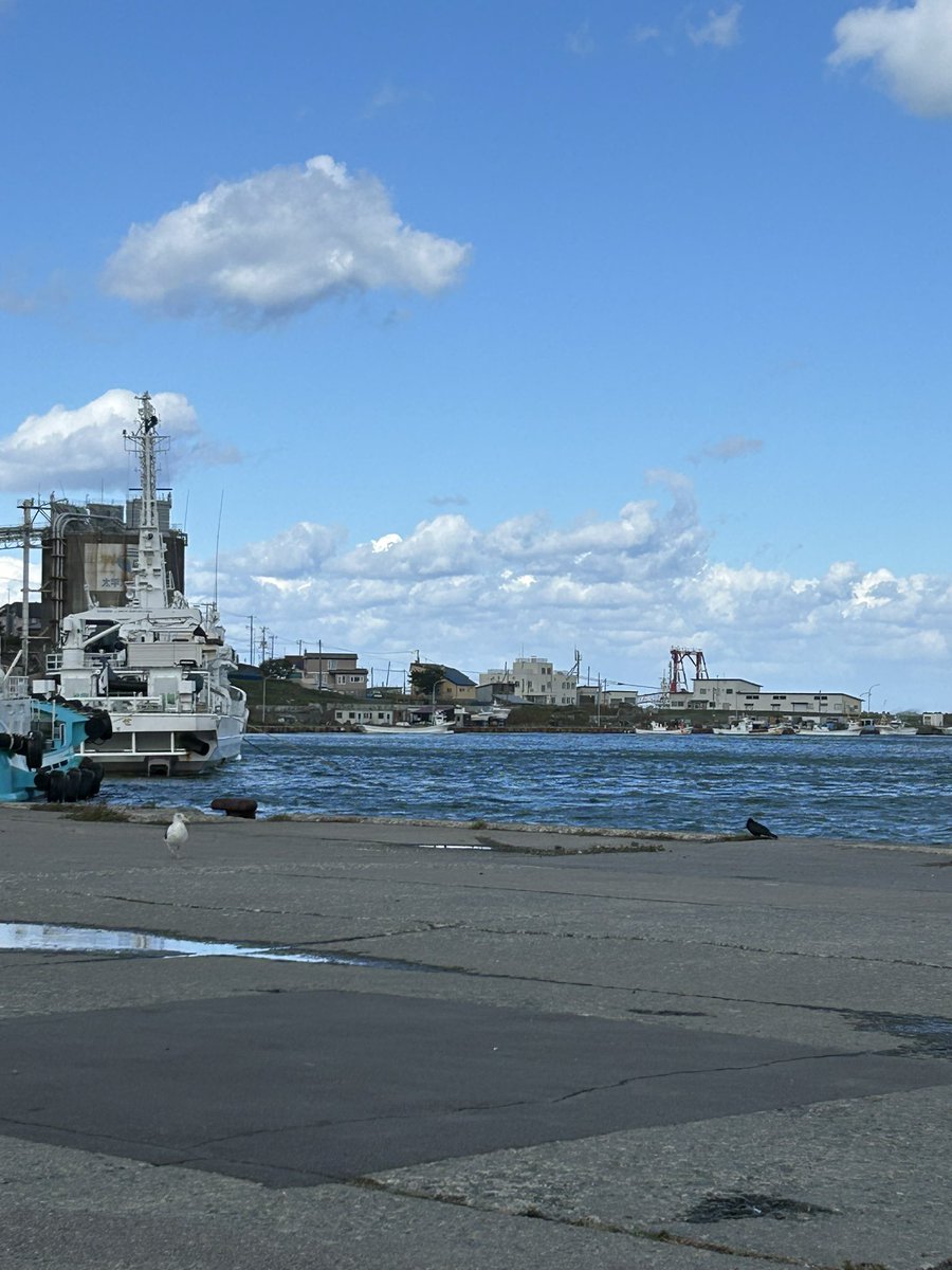 garo_0223's tweet photo. 釣りでガンガンレベル上げれるタイミングで海沿いの町留萌へ。

図鑑の海がすっかすかだったので、一気に埋めていくー

 #ドラクエウォーク
 #釣り https://t.co/8btqdAp5Xe