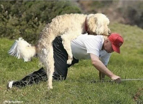 vin_mackpat's tweet photo. @TiffanyTrumpRV He needs a diaper change https://t.co/s3KnXLp41Q