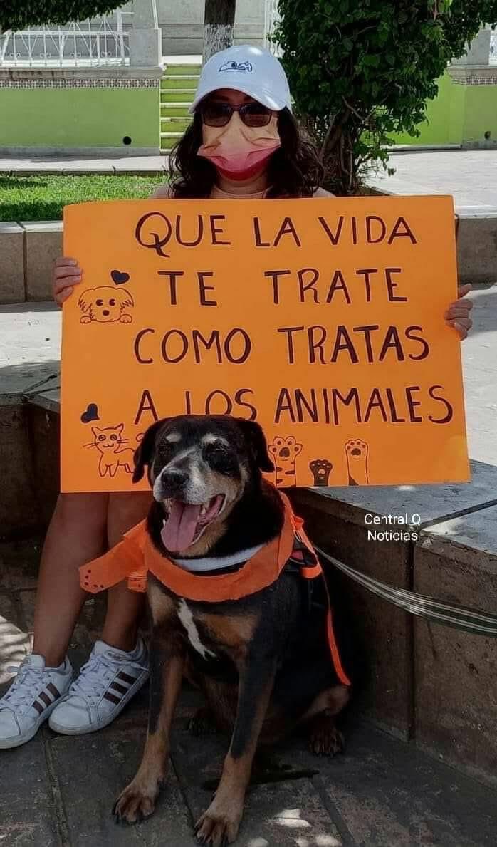 marq31995's tweet photo. Ley de vida https://t.co/RdsbNxem1Y