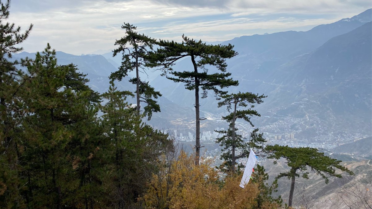 ctfrontofn's tweet photo. [Green peaks stand tall, no gaps between—nature’s quiet beauty here!]， https://t.co/MlCRWeEqK2