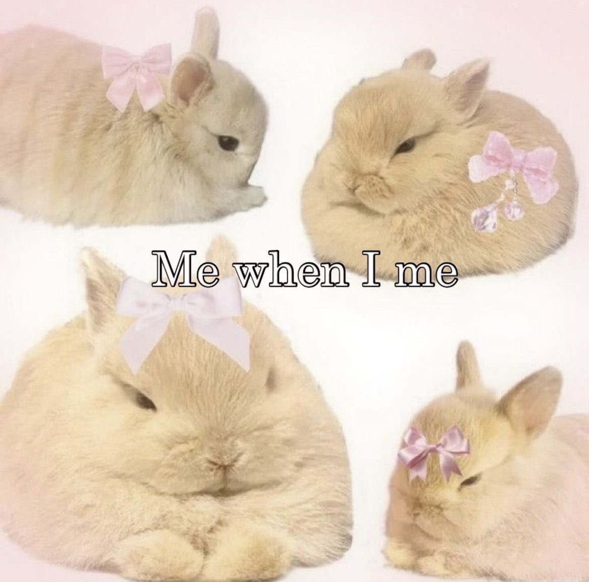 bunniposts's tweet photo. https://t.co/sYfPhvFaSg