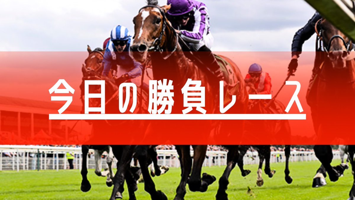 UMASUGIkeiba's tweet photo. 船橋有終の美を飾る。

10/2 勝負レース公開中🔥
☑船橋4R【S】
☑船橋6R【S】”激絞り”
☑船橋9R【S+】
☑船橋11R【SS】🔥激アツ🔥
☑園田10R【S】 https://t.co/elRFeGgOZH