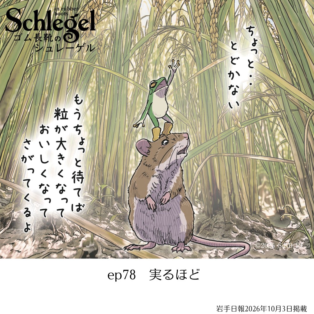 schlegel_in_rb's tweet photo. 今年はコメ余りが話題になっていますが、、もうすぐ稲刈りの季節。

豊作は素直に喜びたいところです。

#ゴム長靴のシュレーゲル #宮沢賢治 #秋 #岩手日報 https://t.co/BG6boe0gcg
