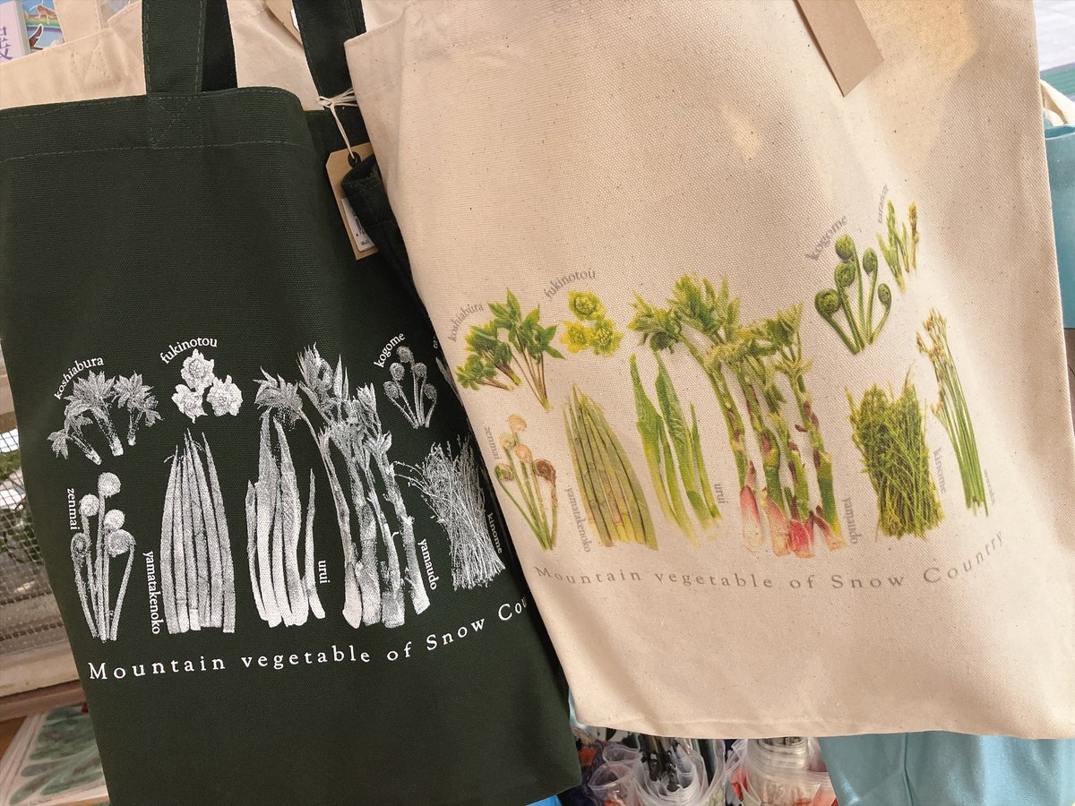 THESTUDYROOMuen's tweet photo. 着る山菜。さんも本日よりスタート！🌱
Tシャツやパーカー、ネクタイ等々…色んな形で着れる山菜たち✨

みょうがパーカー可愛すぎる…！
見てると山菜食べたくなっちゃいます🤤

スタッフ🐍 https://t.co/KsdpH8BKHq