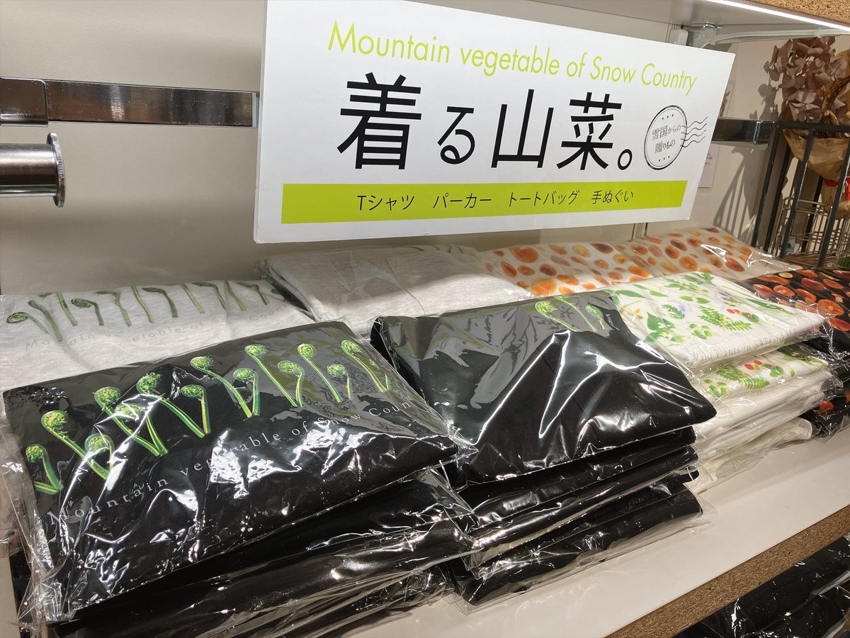 THESTUDYROOMuen's tweet photo. 着る山菜。さんも本日よりスタート！🌱
Tシャツやパーカー、ネクタイ等々…色んな形で着れる山菜たち✨

みょうがパーカー可愛すぎる…！
見てると山菜食べたくなっちゃいます🤤

スタッフ🐍 https://t.co/KsdpH8BKHq