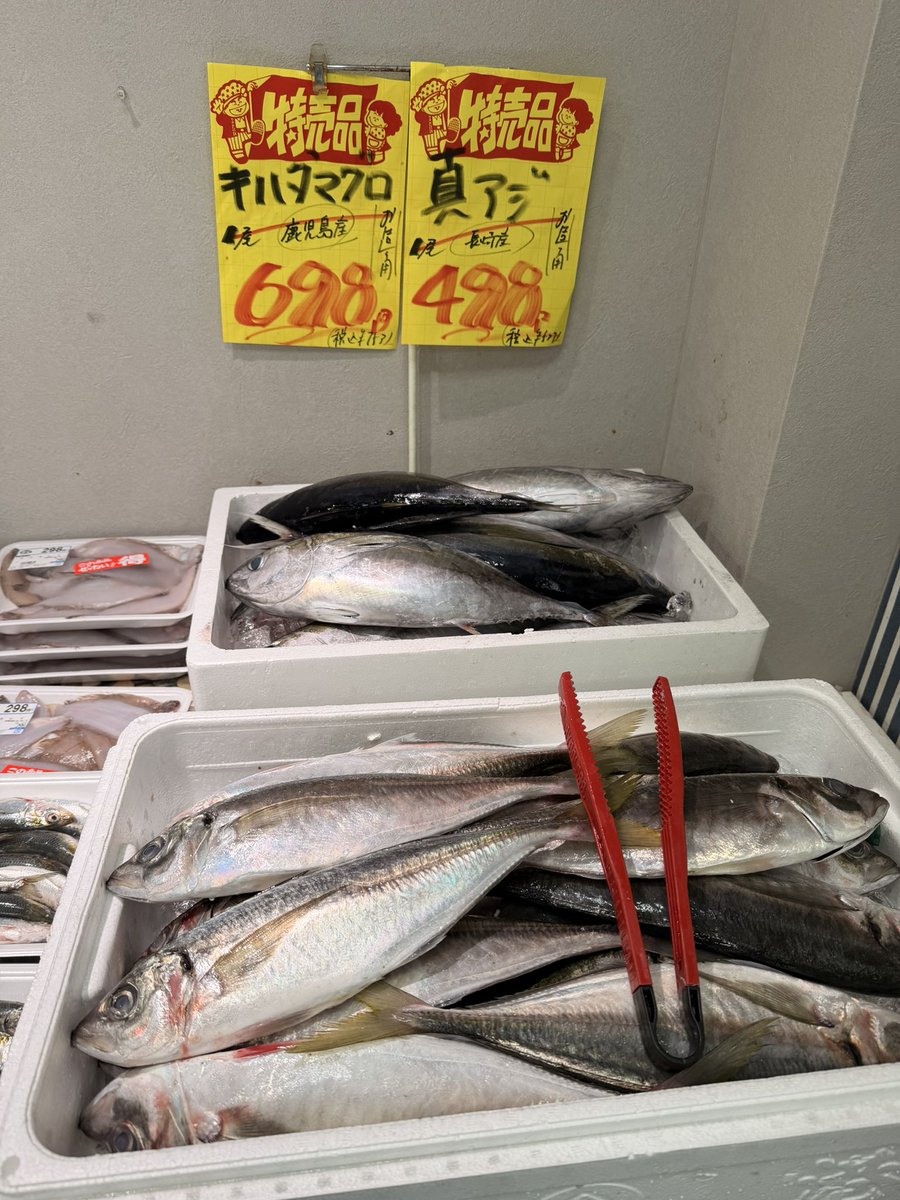 yamatora_13's tweet photo. 本日のおすすめの魚です！
スルメイカお造り用特に激安なので是非お越しください！ https://t.co/bjL7AxYo5A