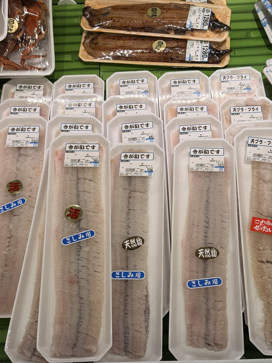 yamatora_13's tweet photo. 本日のおすすめの魚です！
スルメイカお造り用特に激安なので是非お越しください！ https://t.co/bjL7AxYo5A