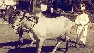 Akhand_Bharat_S's tweet photo. राष्ट्रप्रेम के प्रतीक, देश के महानायक एवं पूर्व प्रधानमंत्री भारत रत्न लाल बहादुर शास्त्री जी की जयंती पर शत शत नमन🚩🙏💐

छोटे कद के बड़े विचारों वाले एवं पाकिस्तान को धूल चटाने वाले  Bharat Ratna Lal Bahadur Shastri के दूरगामी विचार और समग्र जीवन आने वाले युगों युगों तक भारतीयों को प्रेरित करते रहेंगे।

शास्त्री जी कहते थे 
"जय जवान - जय किसान" 
उठ खड़ा होता हिन्दुस्तान। 

किन्तु धूर्त मक्कार कांग्रेसियों ने शास्त्री का मृत्यु के बाद भी उनका अपमान किया । 

👉  उनके शव का Postmartem क्यों नहीं होने दिया ? 
👉उनके शव को परिवार के सदस्यों को देखने भी नहीं दिया !

👉 शास्त्री की टोपी रक्तरंजित क्यों थी ? 

जिस व्यक्ति की एक आवाज पर लाखों लोगों  ने एक समय का खाना बंद कर दिया था ।

लाल बहादुर शास्त्री जी की
👉फोटो संसद भवन में क्यों नहीं लगने दी ? 
👉प्रधानमंत्री बनने के बाद भी उनको त्रिमूर्ति भवन में क्यों नहीं रहने दिया ? 

One of the greatest leaders Bharat ever had. 

We remember him on 2nd October, no one else !

"Jai Jawan Jai Kisan" 🙏🏼🇮🇳
#LalBahadurShastri