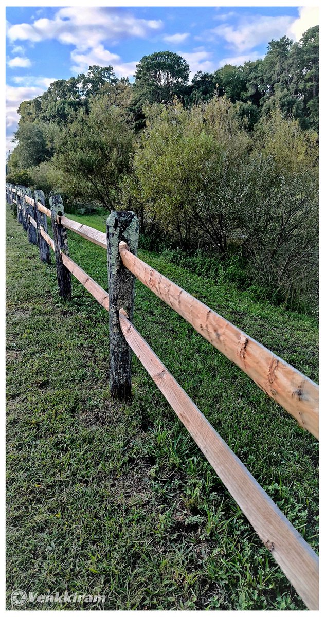 venkkiram's tweet photo. #SeptemberDump
A pocketful of September magic and simple quiet moments. 🍂✨📸
#NaturePhotography #SeptemberDump2026 #venkkiclicks #NewJersey #NJViews #Sept2026 https://t.co/q3OGksiWZx