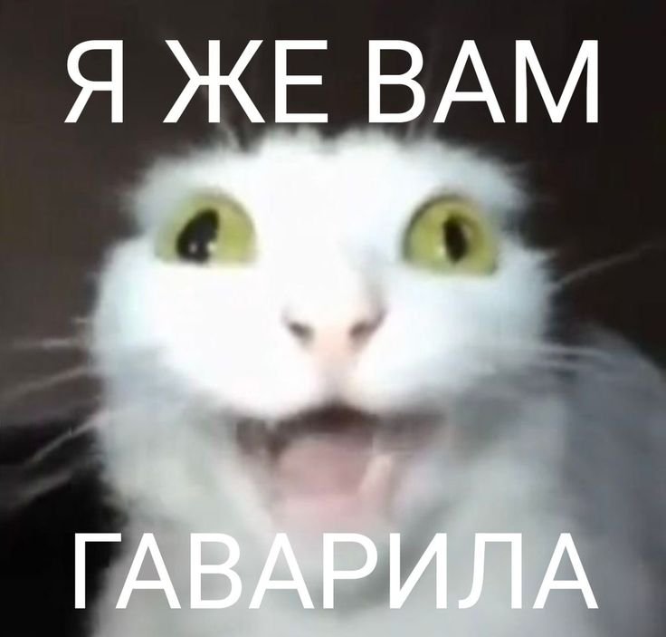 mekaqxd9's tweet photo. Когда в чате по сто раз спрашивают одно задание https://t.co/LtWNveEnIU