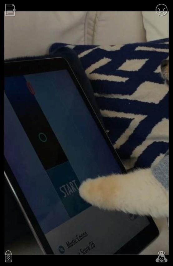 bisco_917's tweet photo. Clara smiled, looking around the café. The bell jingled as a customer walked in, a first-timer, nervous but excited to meet the cats. A little boy ran over to the cat tree, where Midnight was napping, and gently pet her. Mia greeted the new custom😔For newbies: how to quickly m https://t.co/wwy8aeg0Is