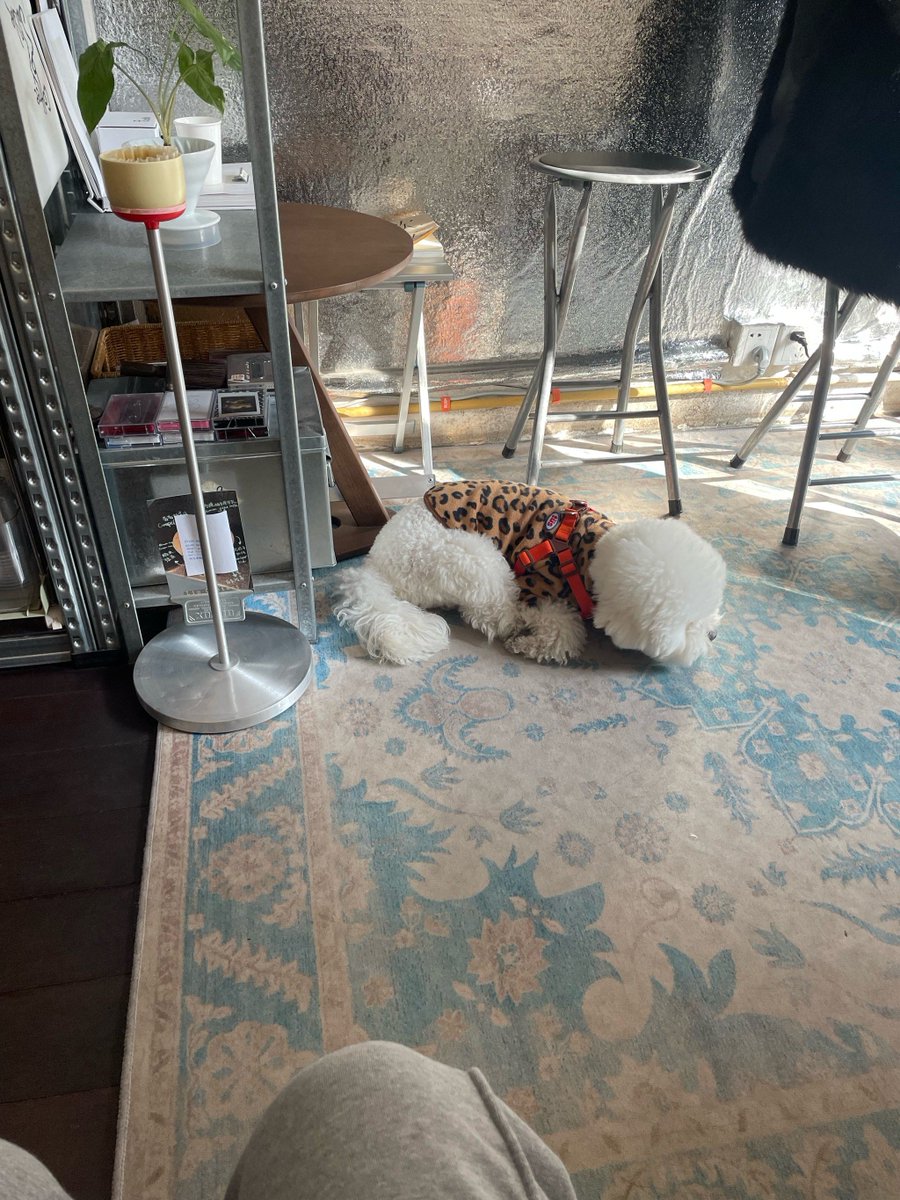 MN6KI9aeT3gqWxD's tweet photo. [Looking for Lei Mi—hoping to connect with kind folks, share good vibes!]， https://t.co/hzbSagr2Kc