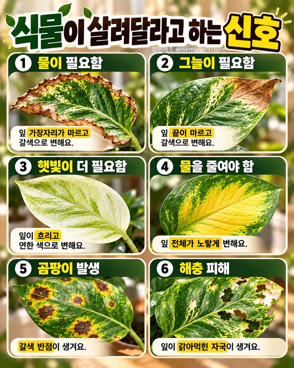 wisemanufacture's tweet photo. 식물이 살려달라고 하는 신호. https://t.co/Tv0vmzOEdZ