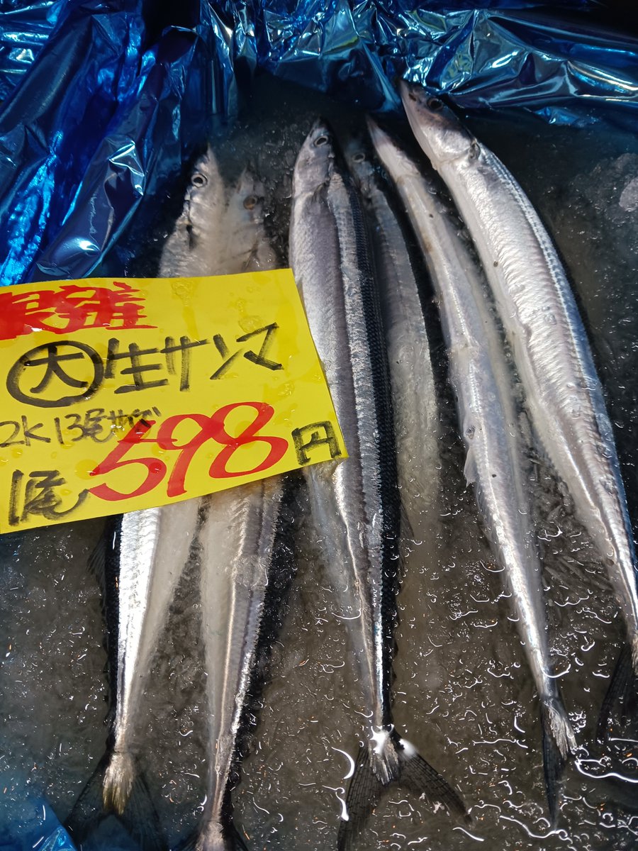 1E2znlirtRPkqLH's tweet photo. おはようございます🐟

でっかいサンマ入荷してます🐟

あとからお魚まだまだ来ます🛻

どーぞよろしくお願いします✨

#オホーツクTwitter会
#伊藤ストアー https://t.co/Wj7mQ96ruH