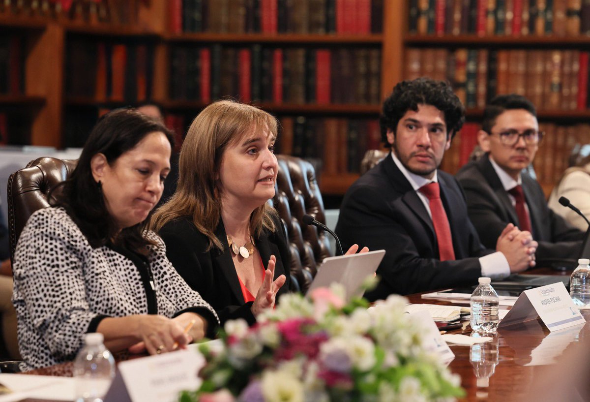 rosaicela_'s tweet photo. #Hoy nos reunimos, junto con @SRE_mx, con la comisionada relatora de la @CIDH, @APochak, y su equipo de trabajo. Seguimos impulsando el diálogo y la cooperación en favor de los derechos humanos. 🇲🇽 @Claudiashein @arturomedinap @OCHOA_MX_UN @cevillanue @Yuriddhh @tobyanneLR @Busqueda_MX