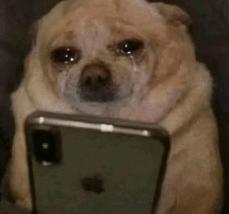 noxox34m's tweet photo. me looking at my phone expecting 1 view https://t.co/jC0X60nvxe