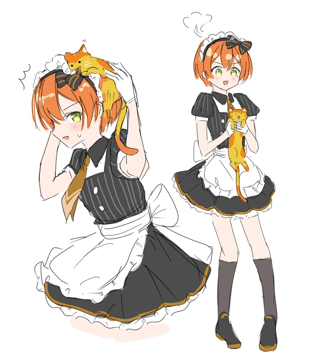 lv3rlngabell's tweet photo. 凛ちゃん🐱
 #金曜凛ちゃんりんりんりん https://t.co/YvGP05agl6
