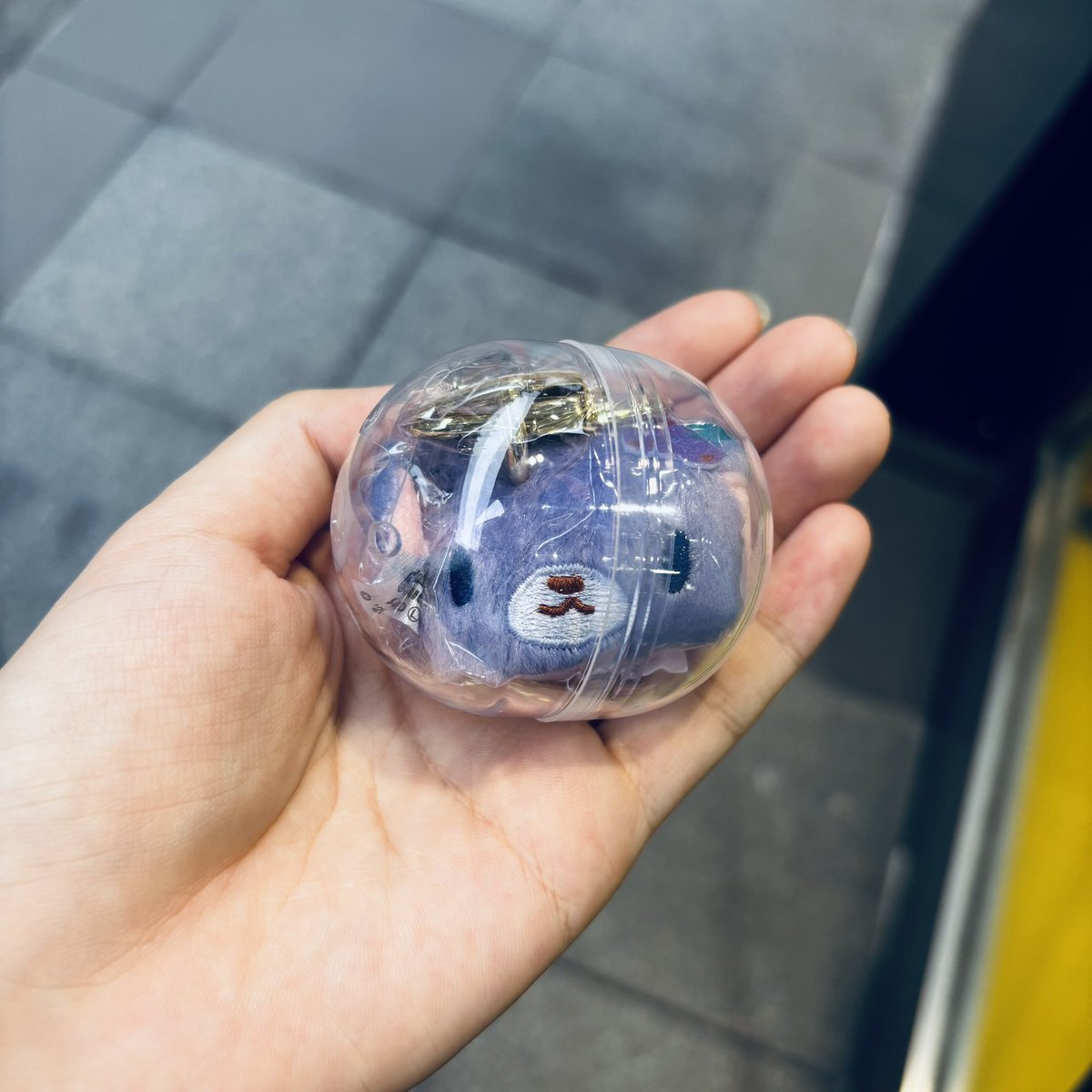 shiro091814's tweet photo. シュガーバニーズ 交換 どこでもぬいぐるみチャーム ぬいぐるみキーホルダー

【求】 1枚目くろうさ

【譲】 2枚目 ブルーベリーうさ

本日、または後日横浜手渡し
郵送での交換も可能です
お気軽にお声がけください🙇‍♀️ https://t.co/ouXjKrZIUU