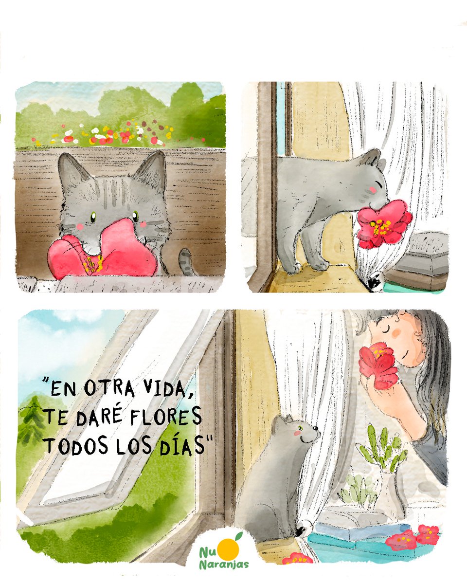 NuNaranjas's tweet photo. 🍊 Cada mañana, al despertar, ella encontraba una flor esperándola. 🐱🌷Casi podía escucharla decir: «Tómala, es para ti». https://t.co/vxGFj7APgI