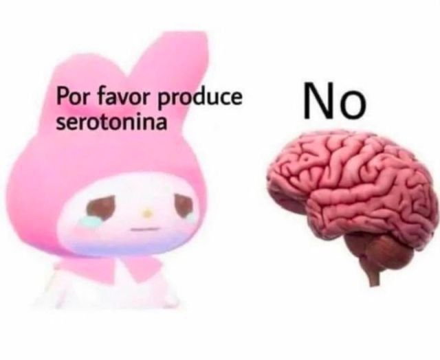 DrAbbuud's tweet photo. STREAM SECRETO SOLO HDMI🚨
RT Y SALUDITOOOO vennnnnteeee https://t.co/nq2ka5LEt7