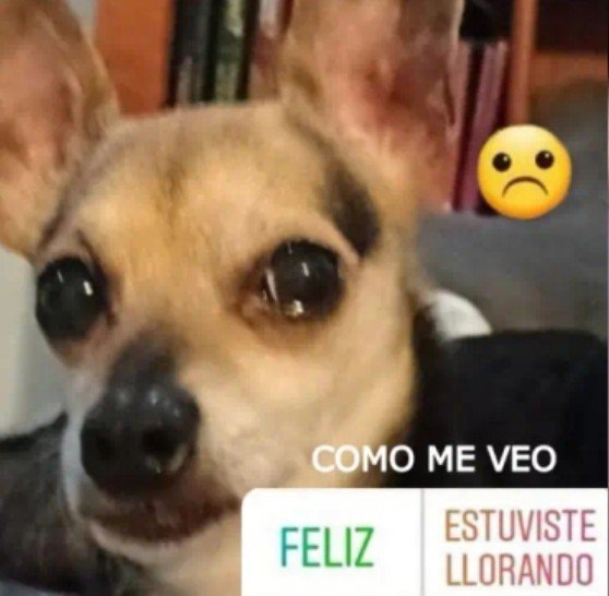 fentamiloo's tweet photo. https://t.co/WUJQTYk3GQ