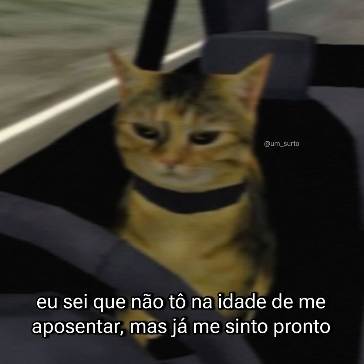 paginalixo1's tweet photo. https://t.co/FwfccrGlnC