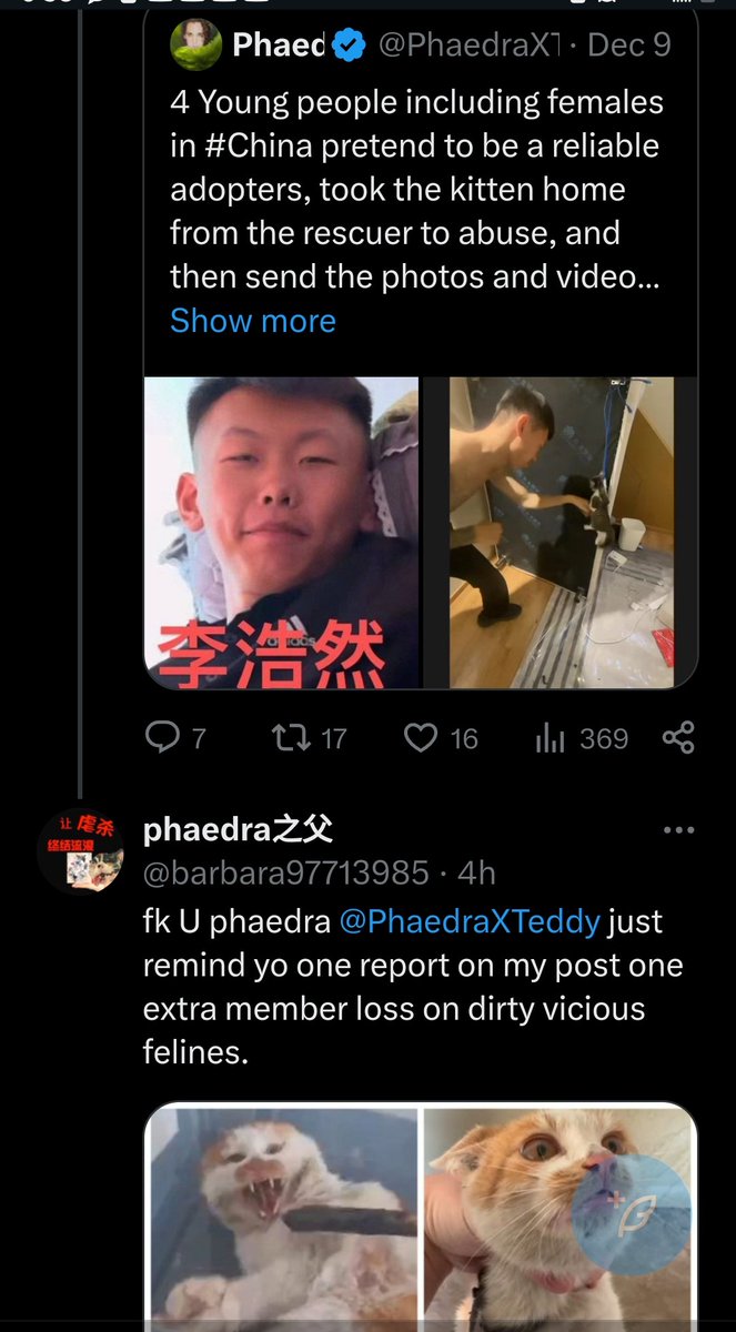 PhaedraXTeddy's tweet photo. #Boycott #China 🇨🇳 
for allowing people to adopt cats and make sick videos for a joke to send to the original rescuers. 
#StopAnimalCrueltyInChina 🇨🇳
#JusticeForWangwangAndHerPuppies too and millions of victims and future victims in #China 🇨🇳.
https://t.co/7tSGuJsZEh
https://t.co/5zL9z8JpTv