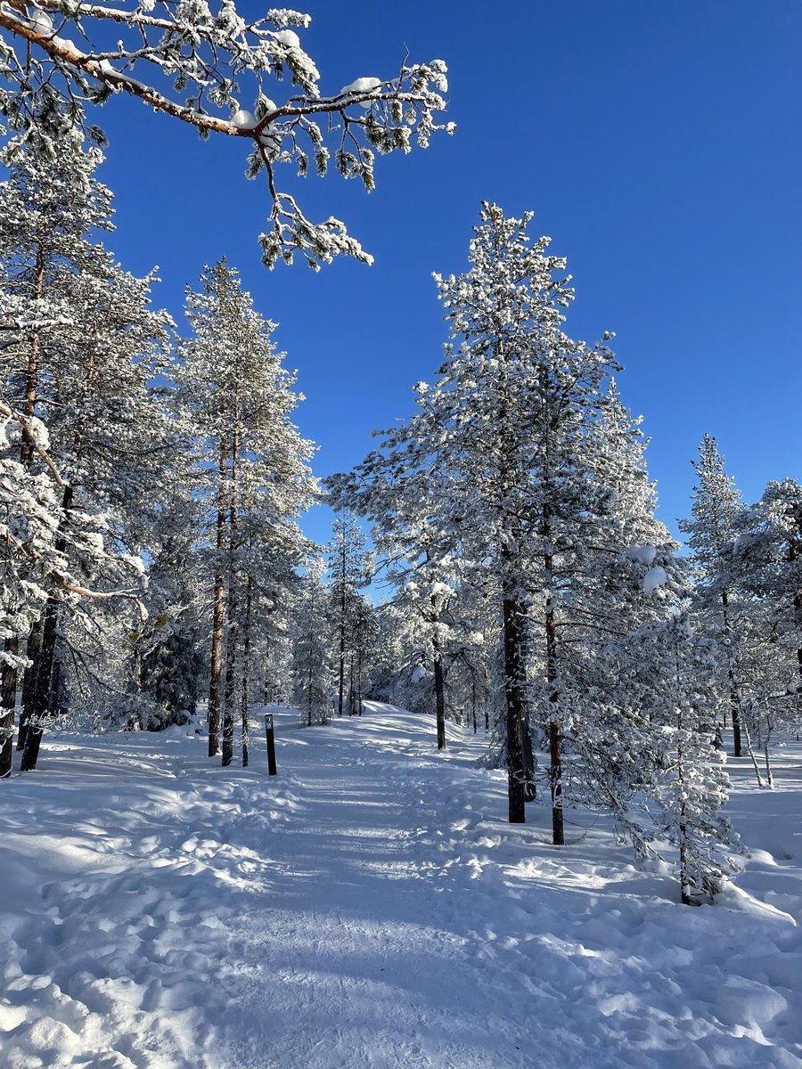 eom4shn's tweet photo. ❄️ https://t.co/lCBBj9s0iV
