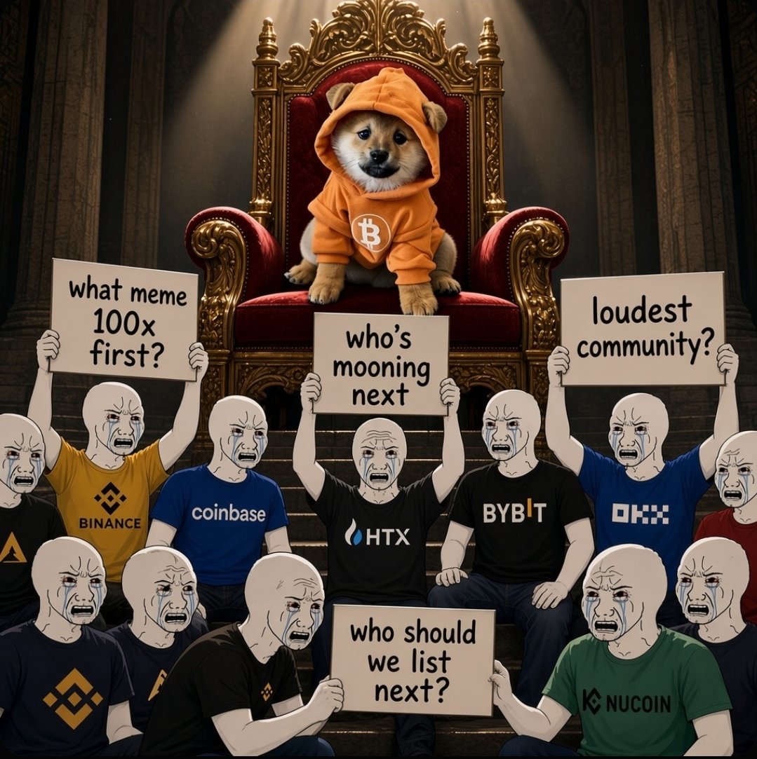 Booga_Crypto's tweet photo. The engagement farming reveals the truth. $DOG https://t.co/uXAAot2p1P