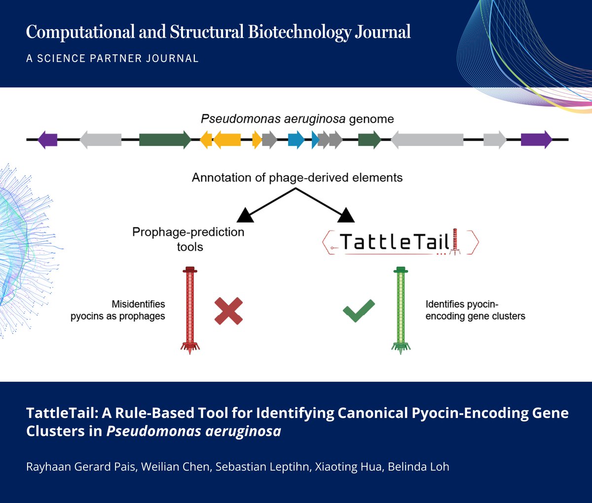 CSB_Journal's tweet photo. 🔗 TattleTail: A Rule-Based Tool for Identifying Canonical Pyocin-Encoding Gene Clusters in Pseudomonas aeruginosa. https://t.co/ZIRycoUQIU

📚 CSBJ - A Science Partner Journal: https://t.co/KwJ0GnNKAa

@bmbSDU @UniSouthDenmark @FraunhoferIZI @ZJU_China @CSB_Journal #Microbiology https://t.co/VHdnD6Y76u