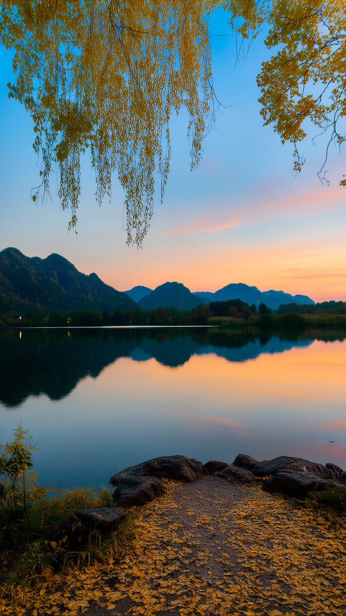 gmd1gm's tweet photo. [Under the swaying old tree by Yidong Lake, I watched the sunset paint the sky warm—what a quiet little moment to cherish.]， https://t.co/ChOnC7PSgd