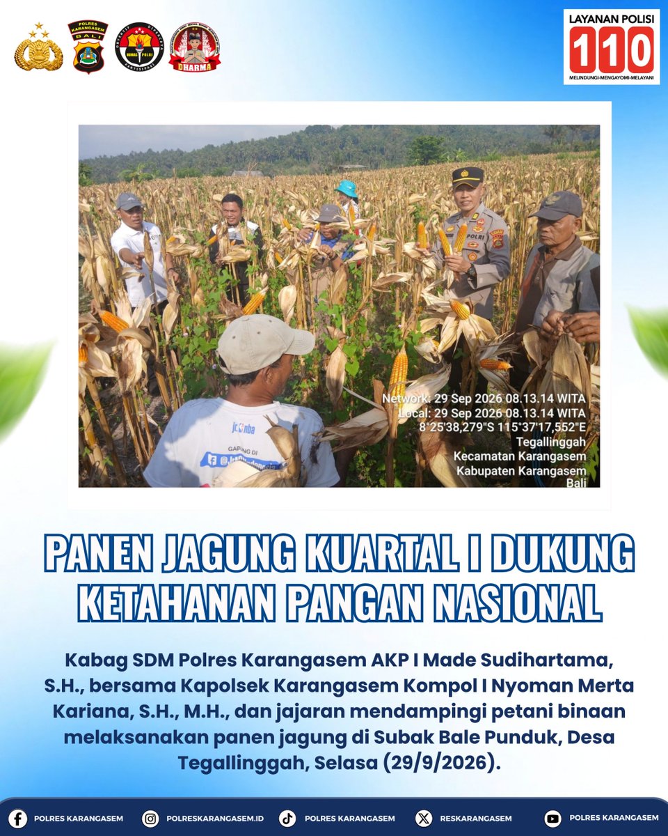 banjarangkan's tweet photo. Panen Jagung Kuartal I Dukung Ketahanan Pangan Nasional! 🌾

​Kabag SDM Polres Karangasem AKP I Made Sudihartama, S.H., 

​#PolresKarangasem #PolsekKarangasem #KetahananPangan #PolriPresisi #PoldaBali #Karangasem https://t.co/CICA46kmXh