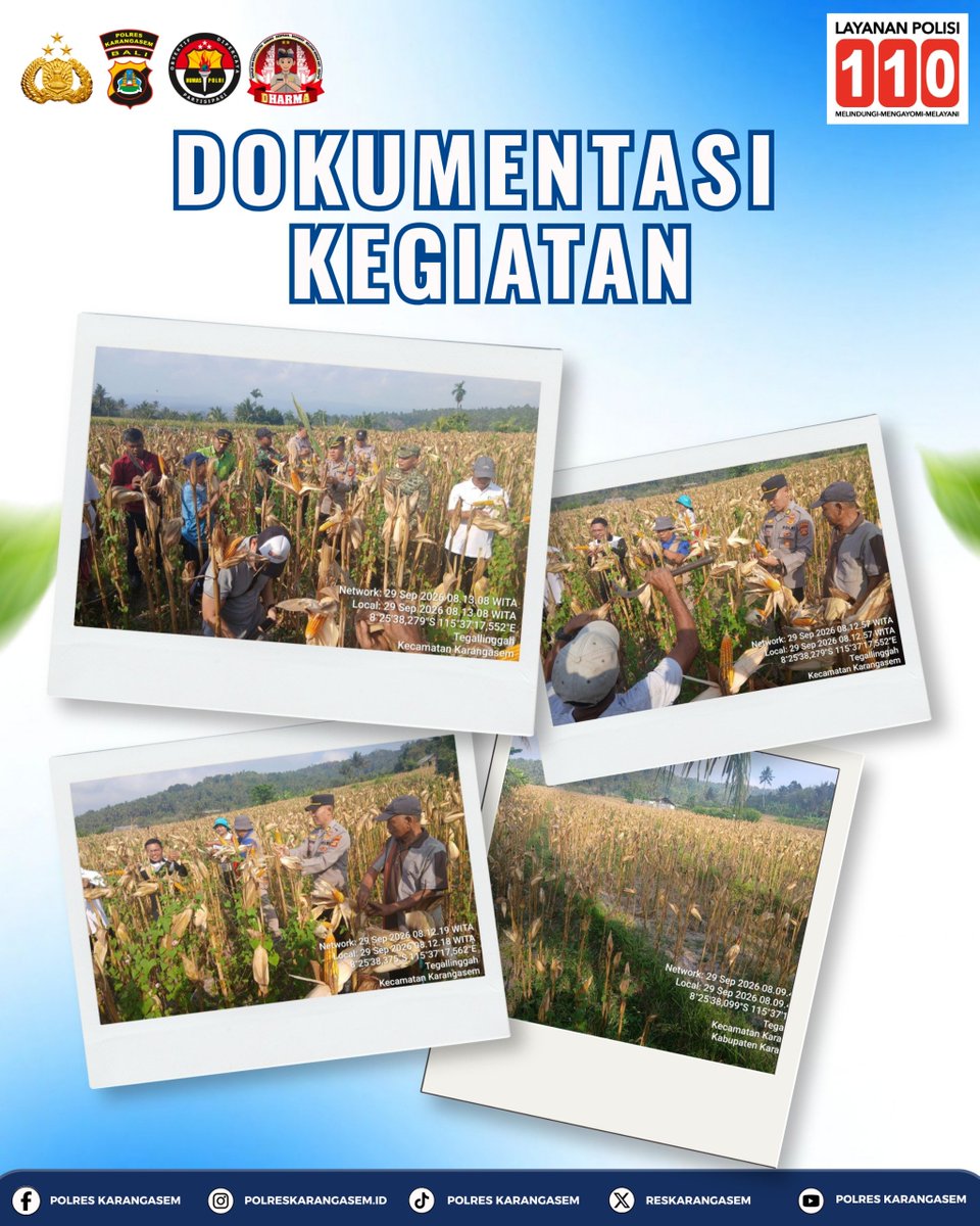 banjarangkan's tweet photo. Panen Jagung Kuartal I Dukung Ketahanan Pangan Nasional! 🌾

​Kabag SDM Polres Karangasem AKP I Made Sudihartama, S.H., 

​#PolresKarangasem #PolsekKarangasem #KetahananPangan #PolriPresisi #PoldaBali #Karangasem https://t.co/CICA46kmXh