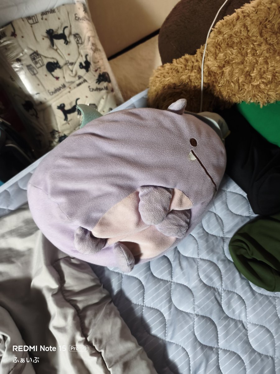 9216test9216's tweet photo. ふぁいぶ…ただいま🙂 https://t.co/iNBlQTBy5h