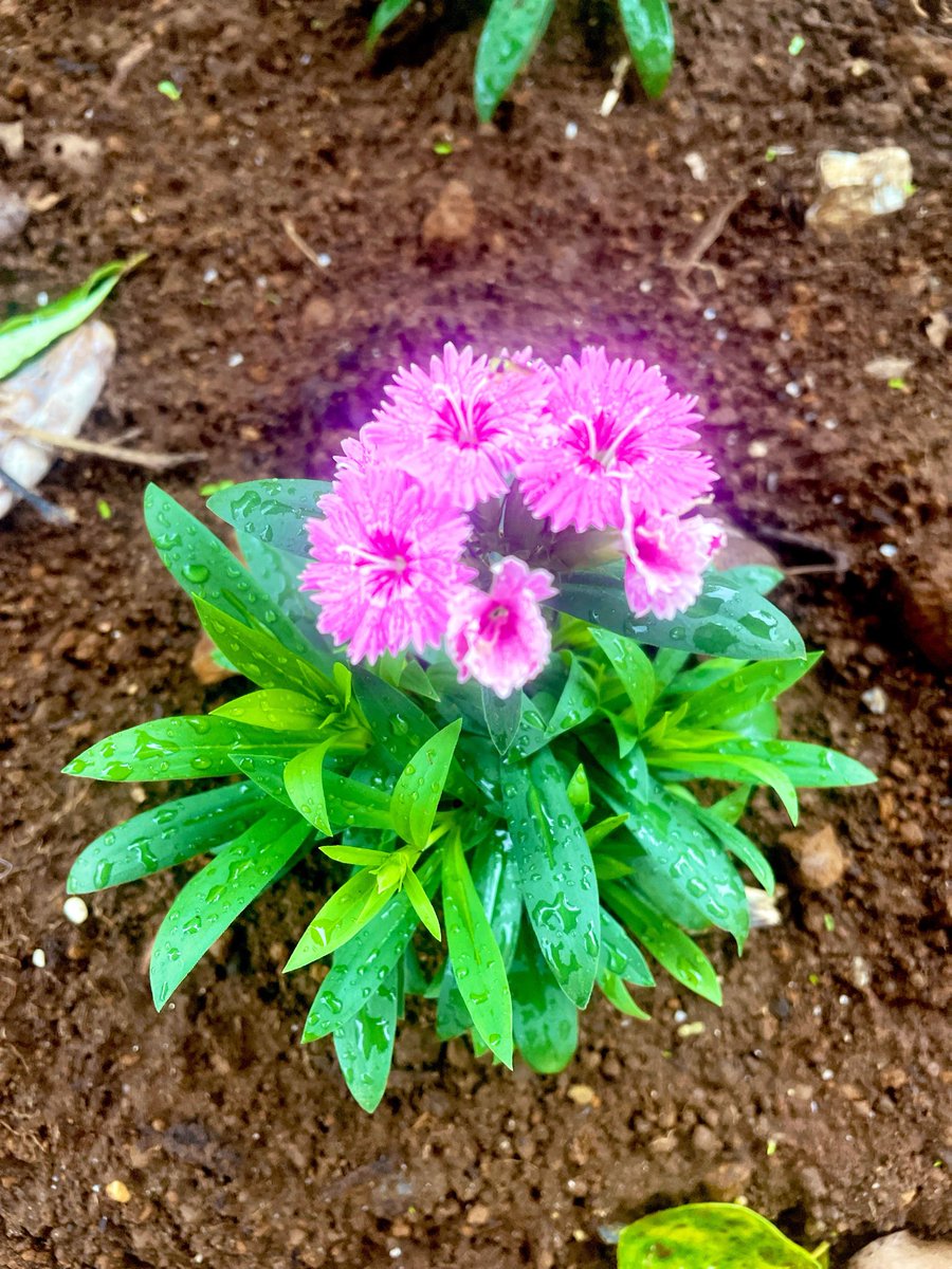 Ruruo4u's tweet photo. おはようございます☂️

断酒129日目👀🌱

今日は、病院受診に向かってます♪
ちょっとプチ旅になるくらいの
移動距離で、
クロミと一緒にお出かけ中です😊

解離もあるので、
1人で長い時間出かけるのは、
一抹の不安はあるものの、
これも外出訓練🚃

観光地をまたぎにまたぎまくるので笑
ちょっと楽しみでもあります😊

皆さまも、
ステキな一日になりますように🌈✨

おひる🍽️、
何食べよっかな〜

#Twitter断酒部
#断酒
