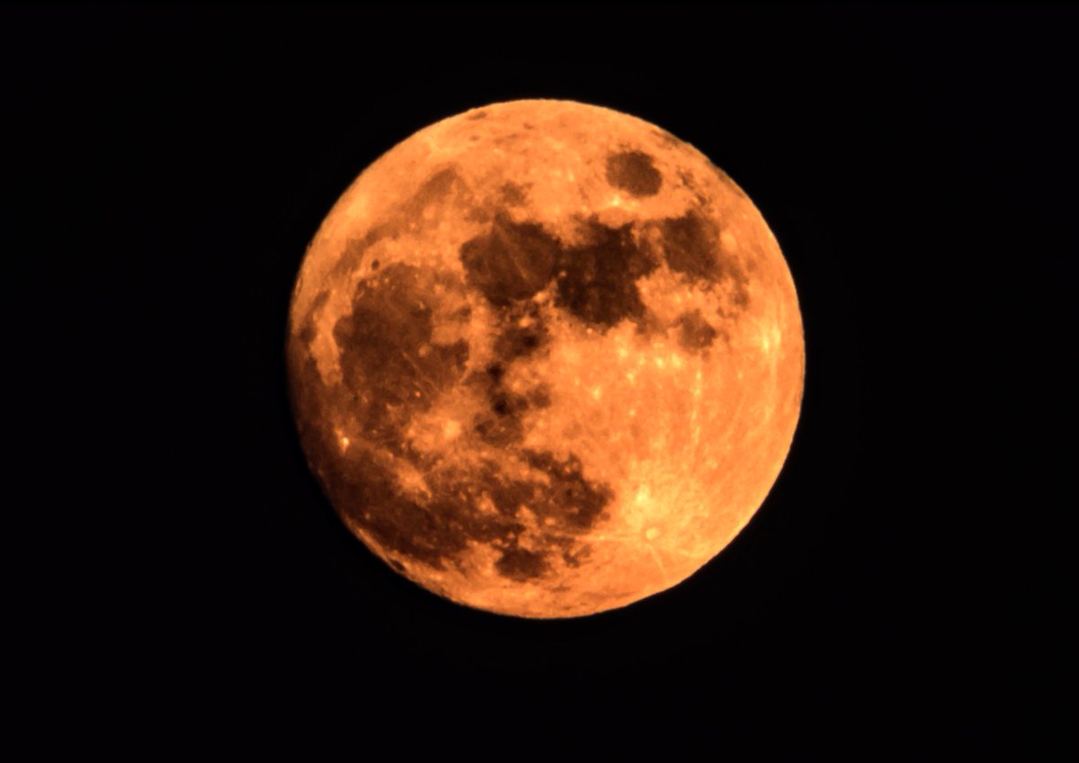 HuntersMoonCoin's tweet photo. Hunter’s Moon is the traditional name for October’s full moon, occurring on October 26, 2026. It is historically associated with hunters preparing for winter by hunting and stocking up on food.

CA:
52RKop6r3UA31KJzqm6nQspzvDuNuDSQcdVMSLx8pump https://t.co/YHwWAu1qgp