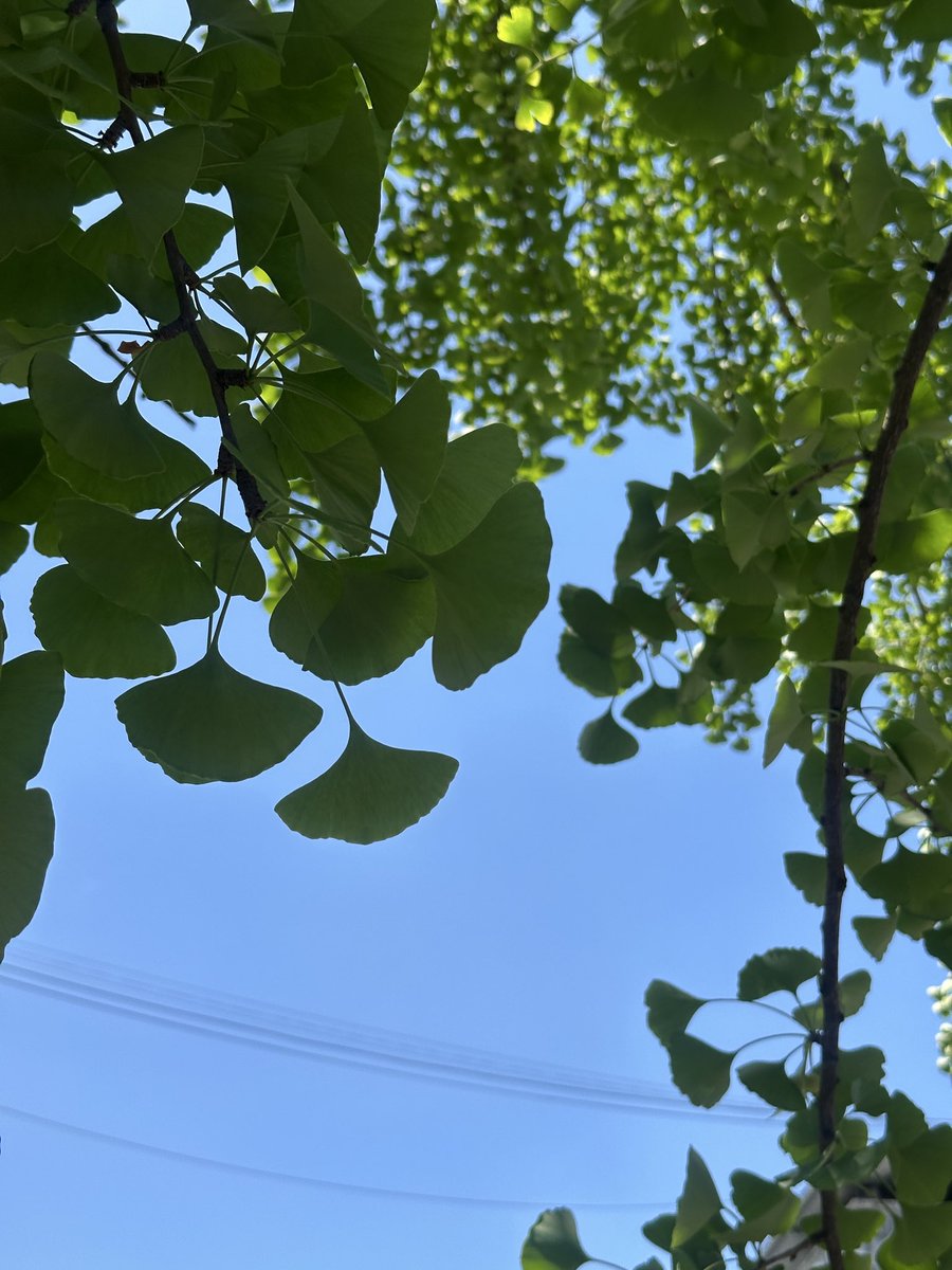Juleseel8's tweet photo. Let my love, like sunlight, surround you and yet give you the freedom to shine. Love is not chains, but wings; it is not possession, but the quiet blessing of letting someone be truly themselves. https://t.co/L1pdEBGCRu