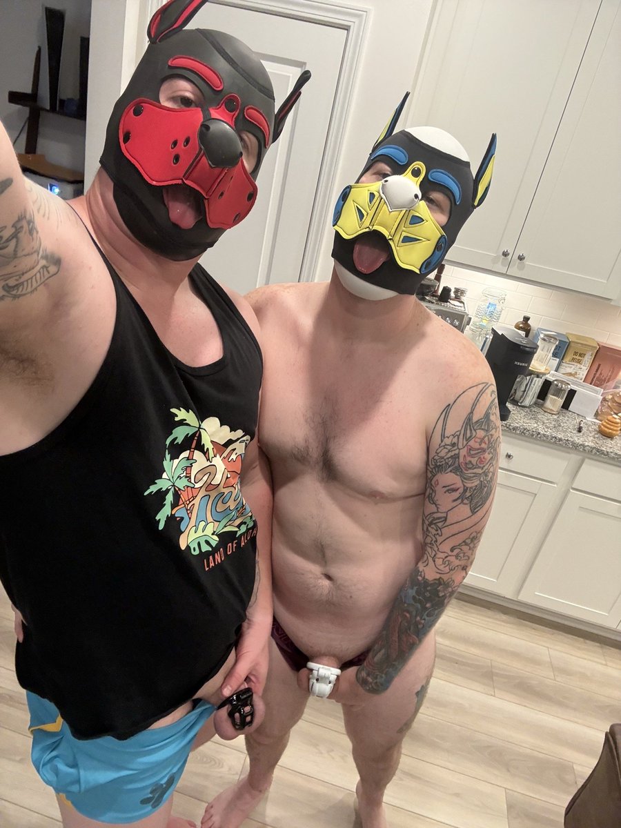 PupTommie's tweet photo. We got some pups "locking in" for the month! First one to unlock bottoms for the rest of the month! #loctober #chastity #pups https://t.co/RjwoUgUqbT