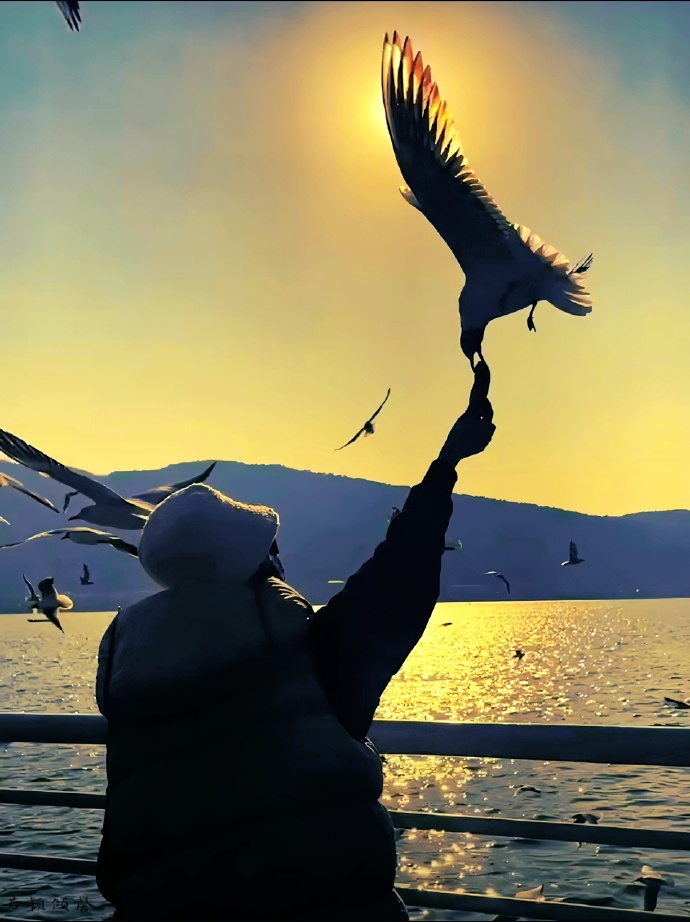 BX1EeIyu3kBiqdB's tweet photo. When the mournful faces, hasty steps, and the lost seagull cross my mind, I feel a deep, quiet joy for the moments we shared. https://t.co/ifXxvgNQqt