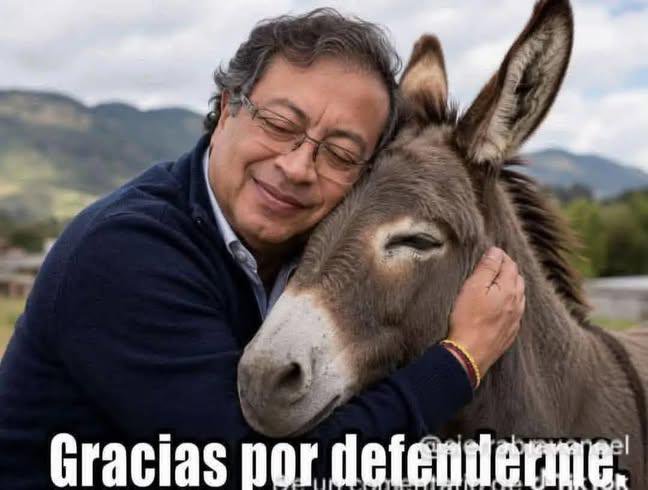ArmentaNino's tweet photo. @jedi_col Quien pide disculpas? https://t.co/cxZU3YnRoQ