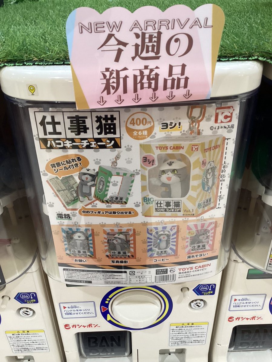 gashacoco 公式X（本部）の入荷情報の写真