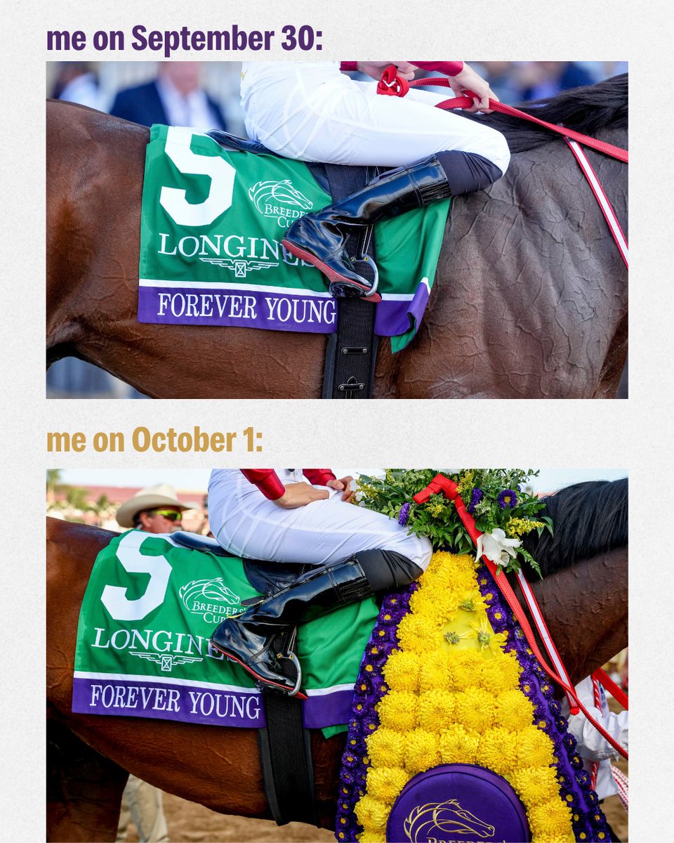 BreedersCup's tweet photo. It's #BreedersCup season 🌼🏆 https://t.co/YTSy4cAkHS